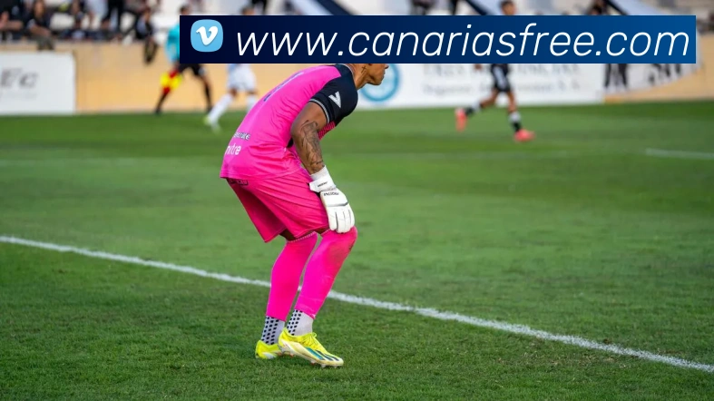 App 展示图